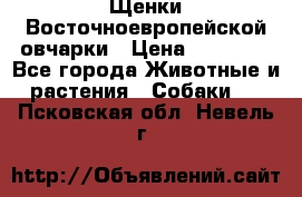 Щенки Восточноевропейской овчарки › Цена ­ 25 000 - Все города Животные и растения » Собаки   . Псковская обл.,Невель г.